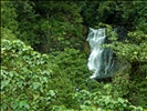 Kadambi Falls